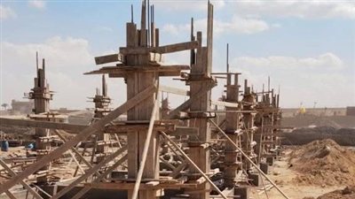 القاهرة تطلق مشروع شلتر لإيواء الكلاب الضالة بالتبين لتعزيز السلامة العامة