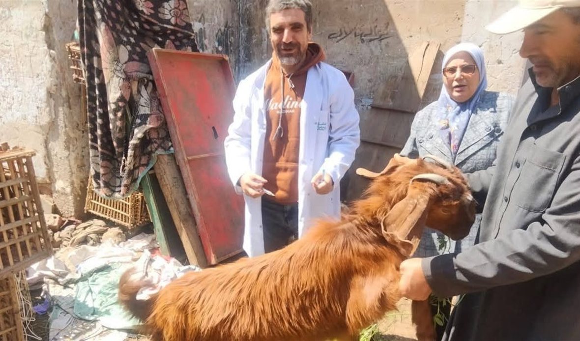 الدقهلية تبدأ اليوم