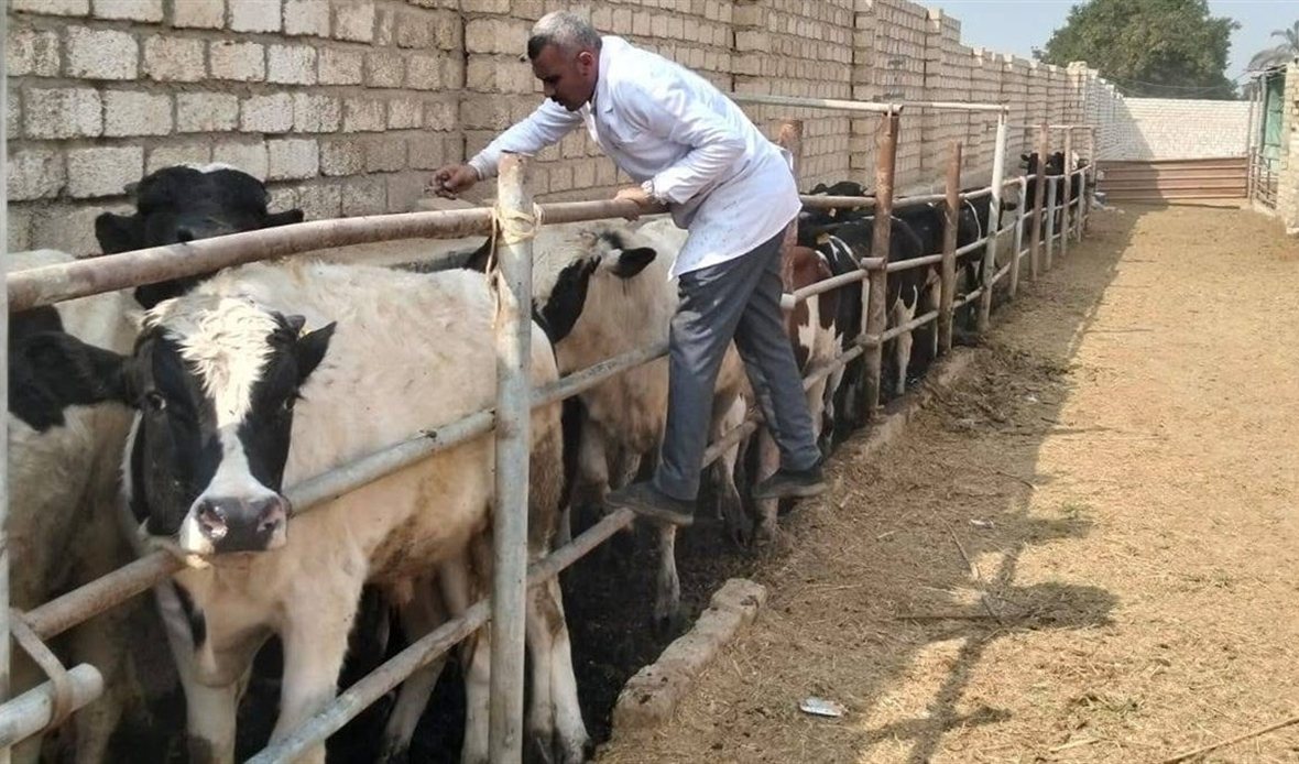 محافظة الجيزة تعلن