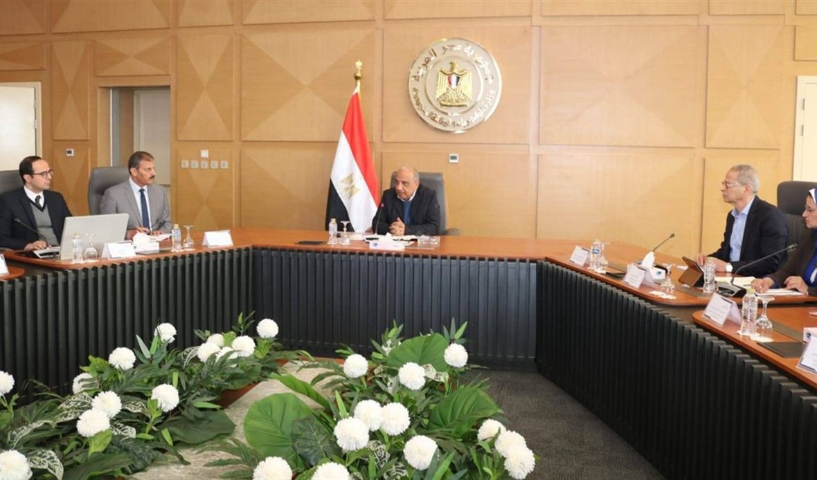 وزير الكهرباء محمود