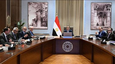  تحديث وثيقة سياسة ملكية الدولة لتعزيز دور القطاع الخاص في الاقتصاد المصري