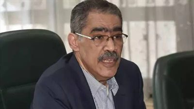 ضياء رشوان يؤكد حرص الدولة على دعم الإعلام الخاص في مصر