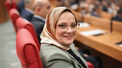 النائبة نجلاء العسيلي تؤيد قرار وزير العدل بوقف خدمات الممتنعين عن سداد النفقة