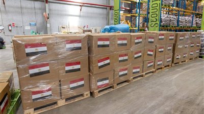 مصر ترسل 1000 طن مساعدات إغاثية إلى لبنان وتجدد رفضها الاعتداءات الإسرائيلية