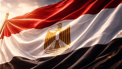 مصر تدين قانون إعدام الأسرى الفلسطينيين وتصفه بانتهاك للقانون الدولي الإنساني