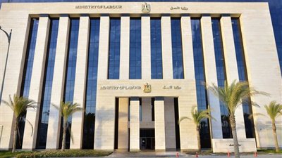 حركة تغييرات وتنقلات في وزارة العمل تشمل 17 قيادة بديوان عام الوزارة والمديريات