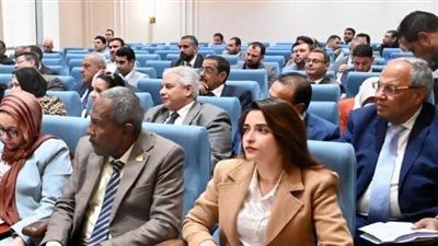 إيرين سعيد تكشف تفاصيل مناقشة طلب الإحاطة بشأن مشاكل مدينة طوخ