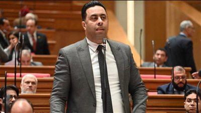 النائب أحمد فرغلي يطالب بحضور رئيس التأمينات لحل أزمة تأخر المعاشات
