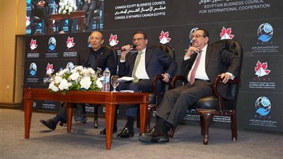 وزير الزراعة: أكثر من 10 ملايين فدان مزروعة وخطة لرفع الاكتفاء الذاتي من السلع الأساسية