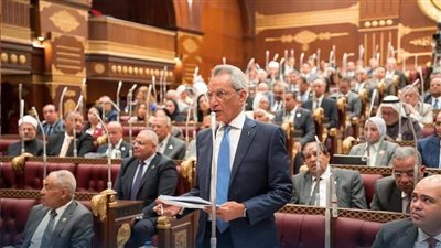 مجلس الشيوخ يقر نهائيًا قانون حماية المنافسة ومنع الاحتكار في مصر