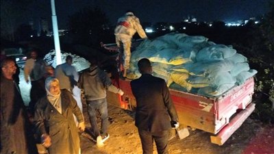 ضبط 2.5 طن دقيق بلدي مدعم وربع طن أسماك مملحة فاسدة في الشهداء بالمنوفية