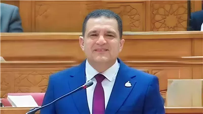 النائب أمير الجزار يطالب الحكومة بمراجعة وقف الأسمدة المدعمة لمحاصيل البساتين