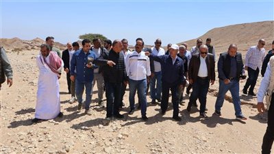 وزارة الكهرباء تدرس ربط مشروعات جبل الجلالة بمزارع الزعفرانة في السويس