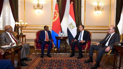 مصر وإريتريا تؤكدان دعم وحدة السودان وأمن البحر الأحمر