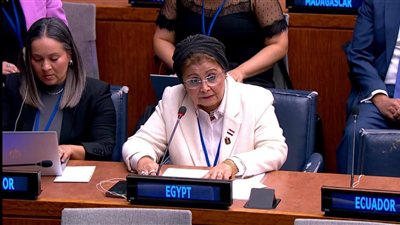 من الصحة الرقمية إلى خفض المواليد: أبرز ما جاء في بيان مصر أمام لجنة السكان والتنمية