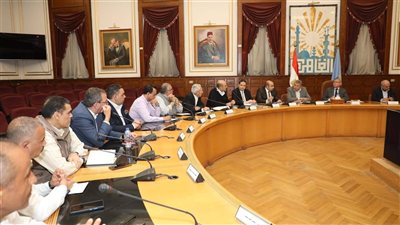محافظة القاهرة تبدأ استبدال التوك توك بسيارات كيوت في 7 أحياء شمالية