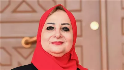 بعد واقعة خطف طفلة من مستشفى.. النائبة نسرين عمر تقترح تحليل الـDNA للمواليد