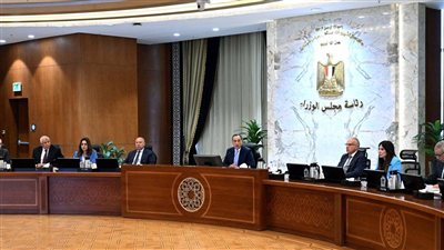 مدبولي يتابع تنفيذ مشروعي رأس الحكمة وشمس الحكمة بالساحل الشمالي