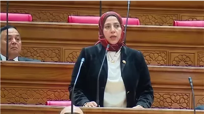 النائبة هيام أبو شقرة تطالب الحكومة بخطة لتحسين أوضاع أصحاب المعاشات