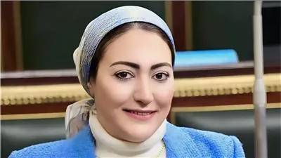 النائبة أسماء سعد الجمال تطلب حل تعطل النظام الإلكتروني للتأمينات