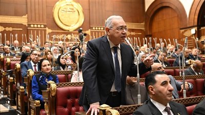 مشروع قانون لحماية حقوق الأبناء من المصريين الأحرار يضع مصلحة الطفل أولًا
