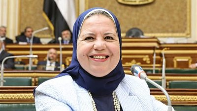 النائبة أمل عصفور تطالب بتنظيم مساعدات الأسر الأولى بالرعاية قبل عيد الأضحي