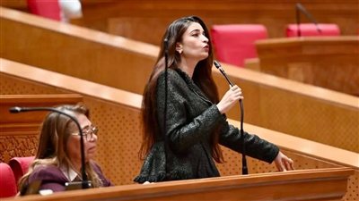 د. إيرين سعيد تطالب بكوبري عاجل لإنهاء أزمة جزيرة الشورانية في سوهاج
