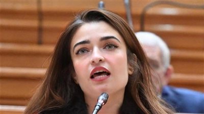 النائبة إيرين سعيد تطالب بحلول للعاملين بالمكافأة الشهرية في مراكز الشباب