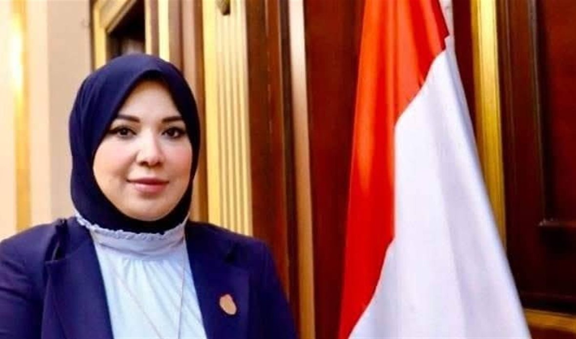   دينا هلالي تطالب