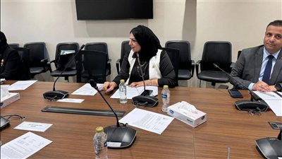 النائبة مروة حلاوة تناقش أوضاع عمالة التعهيد وضعف الأجور بلجنة القوى العاملة