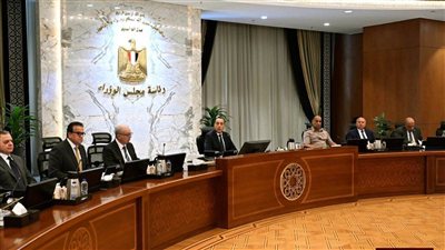 مجلس الوزراء يعتمد مشروعات خدمية بقنا والمنيا واستراتيجية سلامة الغذاء 2026-2030