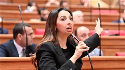النائبة نشوى الشريف تطالب بإعادة مناقشة تعديل قانون التأمينات داخل لجنة القوى العاملة