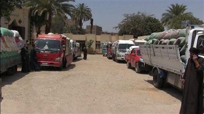 استلام 100 ألف و331 طن قمح في سوهاج والمحافظ يشدد على جودة المحصول