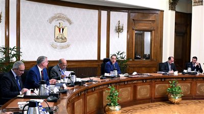 الحكومة المصرية تجهز مبادرة وطنية لتوليد 1000 ميجاوات من الطاقة الشمسية فوق أسطح المصانع