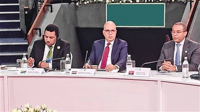 هاني سويلم في نيروبي: مصر تؤكد بقمة إفريقيا فرنسا أن الأمن المائي أساس الأمن الغذائي