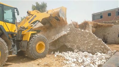 إزالة 91 تعديًا في أسيوط ضمن الموجة 29 واسترداد 49 فدانًا