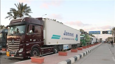 خط الرورو بميناء دمياط يعزز حركة الترانزيت إلى أسواق الخليج