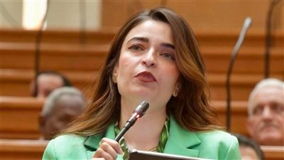 إيرين سعيد توضح توصيات مجلس النواب  بتقنين أوضاع العاملين بمراكز الشباب
