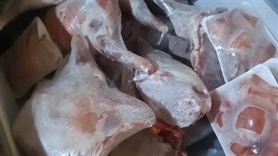 ضبط 6 أطنان لحوم ودواجن فاسدة في الجيزة خلال حملات رقابية