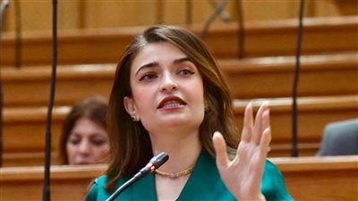 النائبة إيرين سعيد تتقدم بطلب إحاطة بشأن أزمة “وقف المنان” في دمياط والدقهلية وكفر الشيخ 
