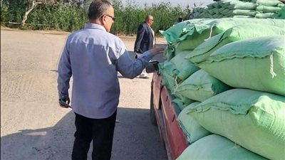 توريد 255 ألف طن و604 كيلو قمح لمواقع التخزين والصوامع في الدقهلية