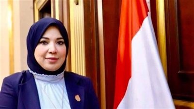 النائبة دينا هلالي تطالب بمراجعة استبعاد موظفين من بطاقات التموين