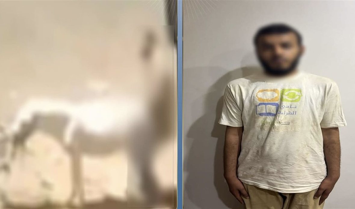 ضبط شخص اعتدى على