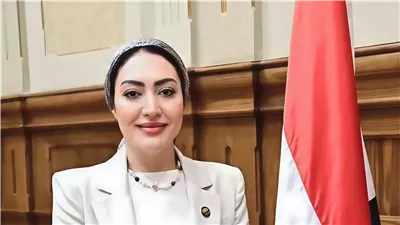 النائبة أسماء الجمال تطالب بتأمين كوبري الأخصاص بعد تكرار الحوادث