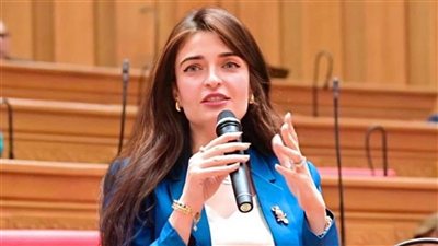 إيرين سعيد تطلب رقابة على استثمارات التأمين الصحي