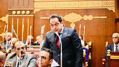مجلس الشيوخ يتلقى مقترح محمد الجندي لإنشاء نقابة صناع المحتوى لحماية الحقوق الرقمية