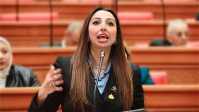 نشوى الشريف تطالب بحضور الجهات المختصة لمناقشة ملف حملة الماجستير والدكتوراه والعشرين الأوائل 