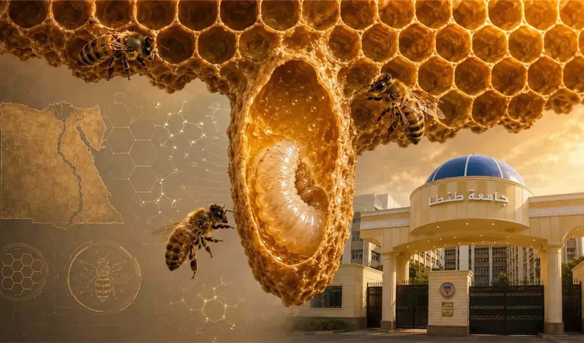 إنجاز بحثي مصري جديد