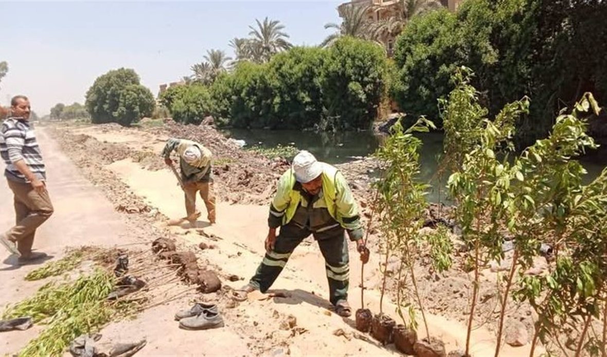 الجيزة تطلق مبادرة