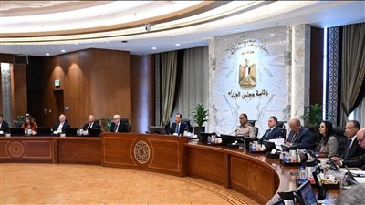 مجلس الوزراء يوافق على استمرار العمل عن بُعد في يوليو وتحويل هيئة التحكيم واختبارات القطن وجهاز تنمية التجارة الداخلية إلى هيئات خدمية